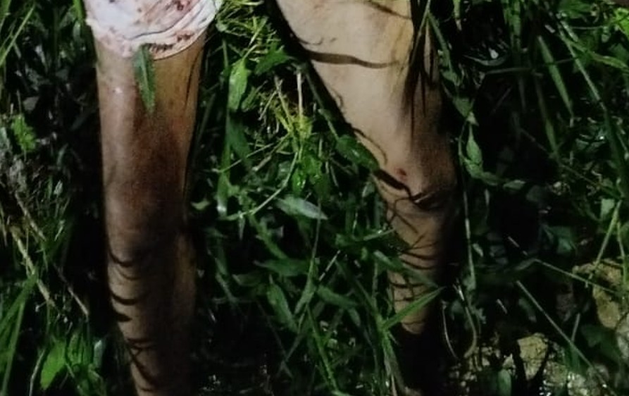 Pistoleiros perseguem e matam homem com 8 tiros no Alfredo Nascimento