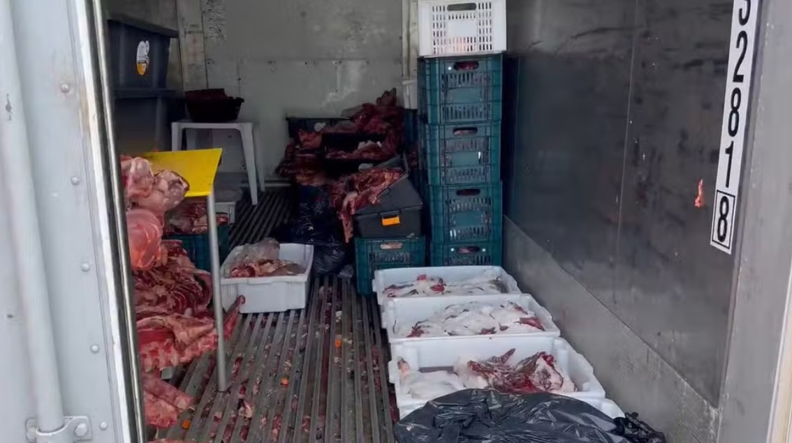 Quase 3 toneladas de carne estragada são apreendidas em açougue