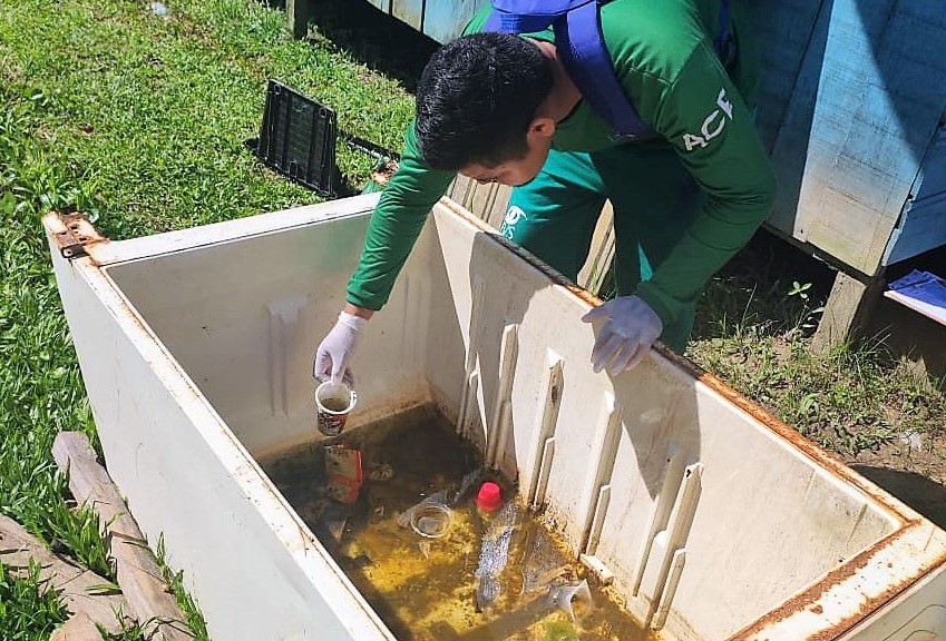 Amazonas confirma 631 casos de dengue e 8 casos de febre Mayaro