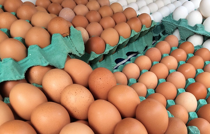 Ministro afirma que preço dos ovos de galinha deve cair após Páscoa