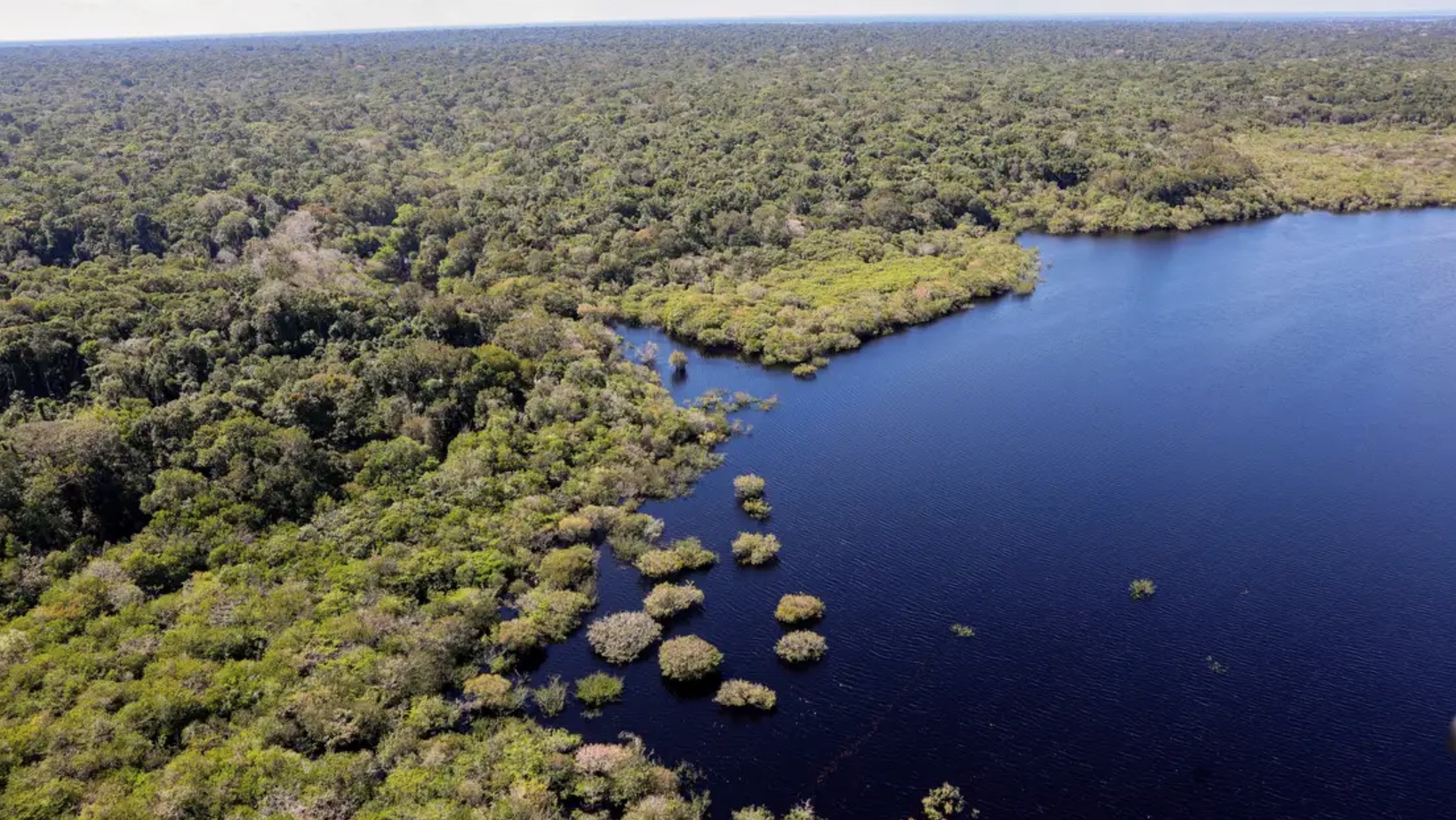 Irlanda anuncia doação de R$ 91 milhões para o Fundo Amazônia