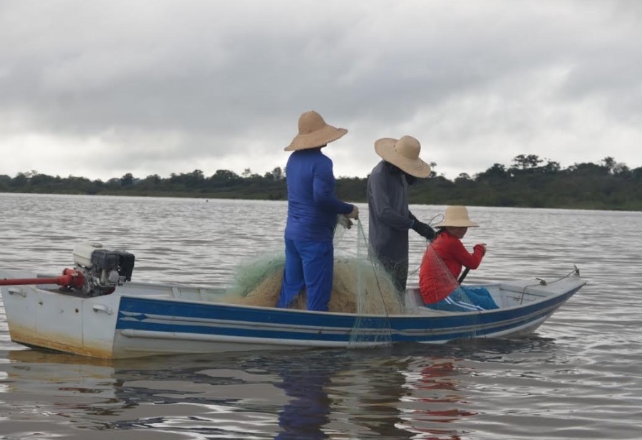 Pesca do tambaqui é liberada a partir de 1º de abril no Amazonas   