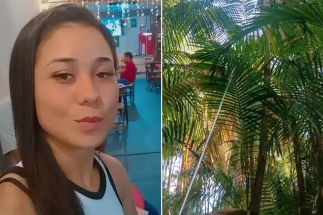 Funcionária morre após sofrer descarga elétrica durante colheita de açaí