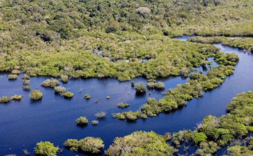 Desmatamento no Brasil caiu 32,4% em 2024