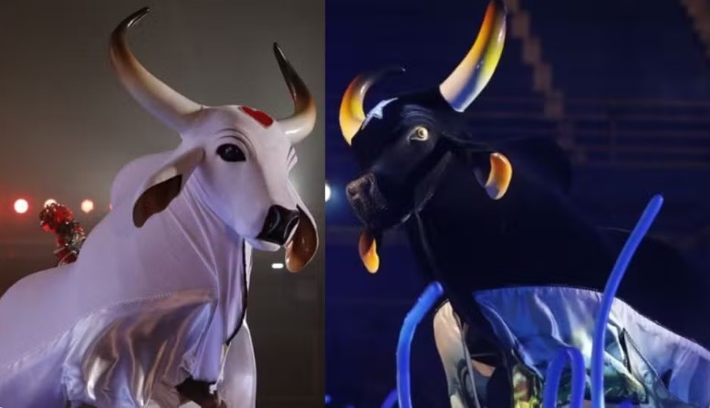 Hospedagem em Parintins chega a R$ 99 mil a 10 dias do Festival