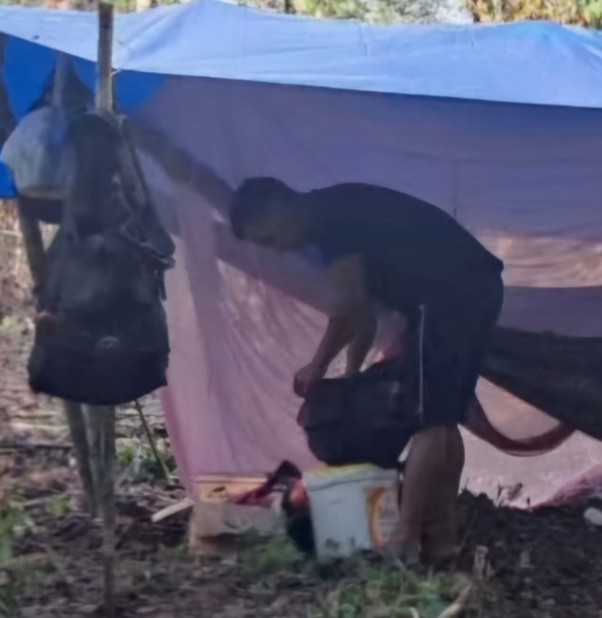 Homem morre ao ser atingido por árvore enquanto trabalhava em Manacapuru