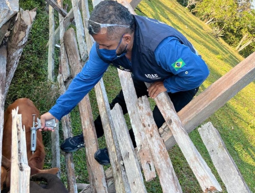 Prazo final para vacinação contra raiva no Amazonas vai até setembro