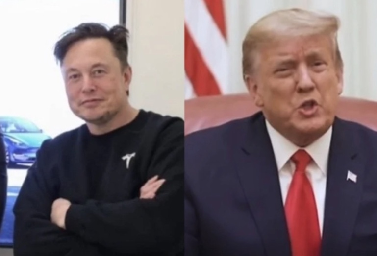 Trump corta relações com Elon Musk após briga pública: "Perdeu a cabeça"