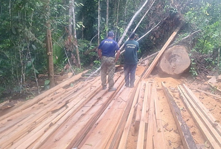 Ipaam aplica R$ 740 mil em multas por crimes ambientais próximos a Manaus