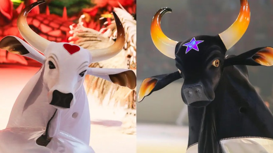 Garantido ou Caprichoso? Vencedor do Festival 2025 será conhecido hoje 