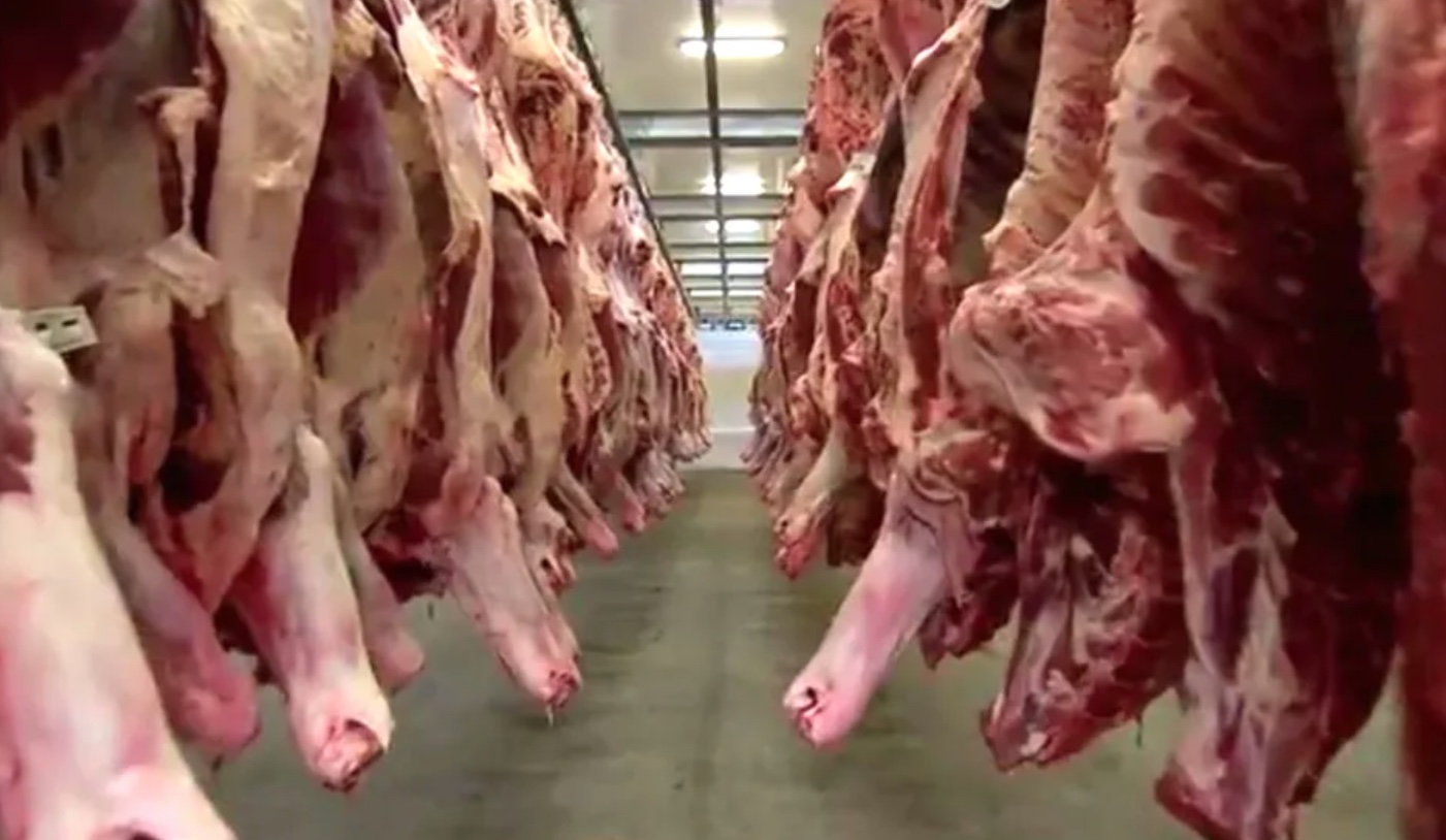 Frigoríficos de MS suspendem produção para os EUA após tarifaço de Trump