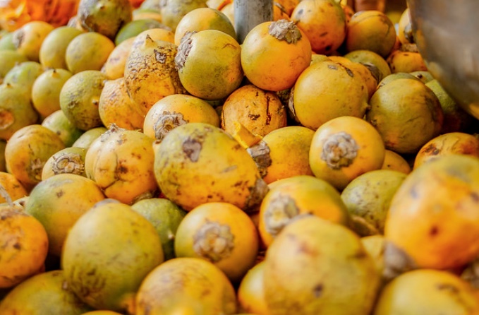 Preço do quilo do tucumã dispara e chega a R$ 100 em Manaus