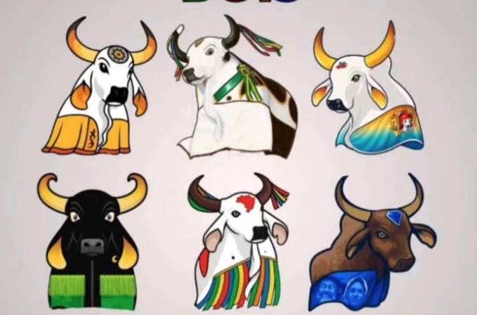 Bois de Manaus se apresentam neste fim de semana no sambódromo