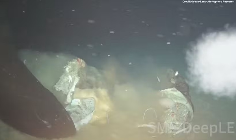 Vaca é lançada no fundo do mar para simular naufrágio