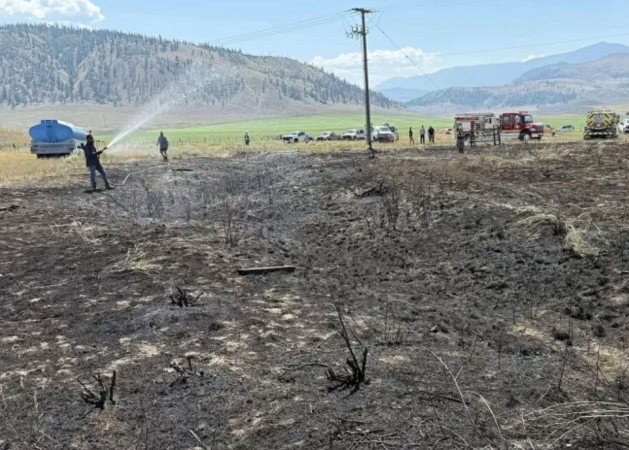 Peixe cai do céu, causa fogo em vegetação e deixa pessoas sem luz no Canadá