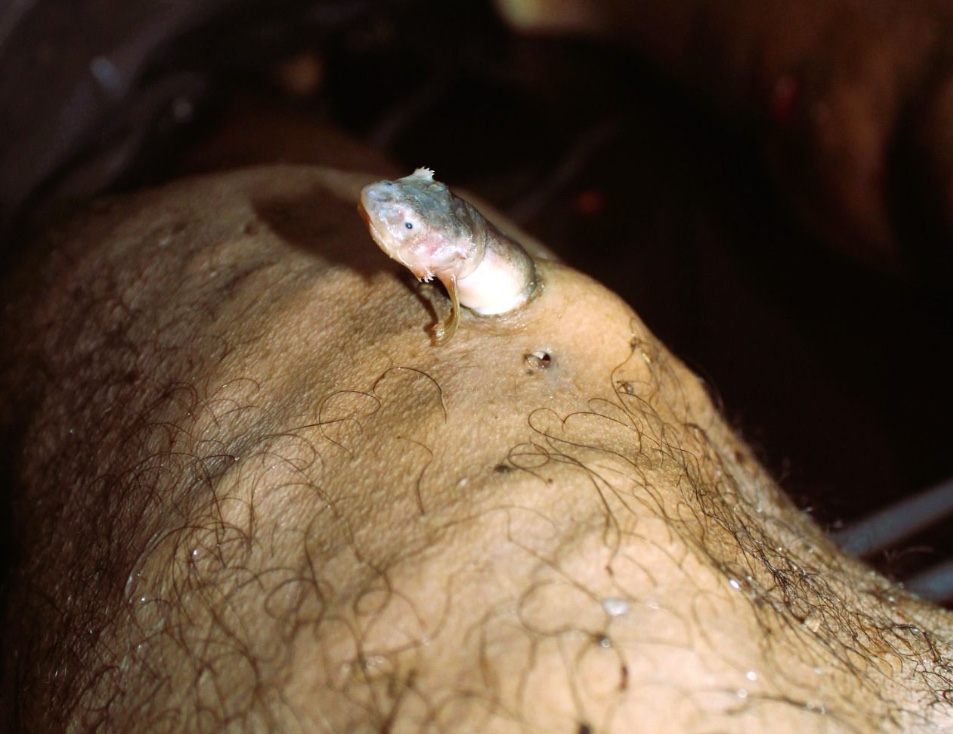 Concurso FotoForense abre inscrições para peritos e jornalistas no Amazonas