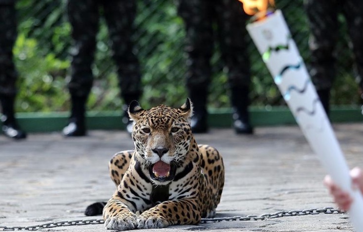 Zoológico do CIGS terá entrada gratuita neste domingo em Manaus
