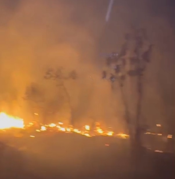 Incêndio devasta área de mata na BR-319 e assusta moradores em Humaitá