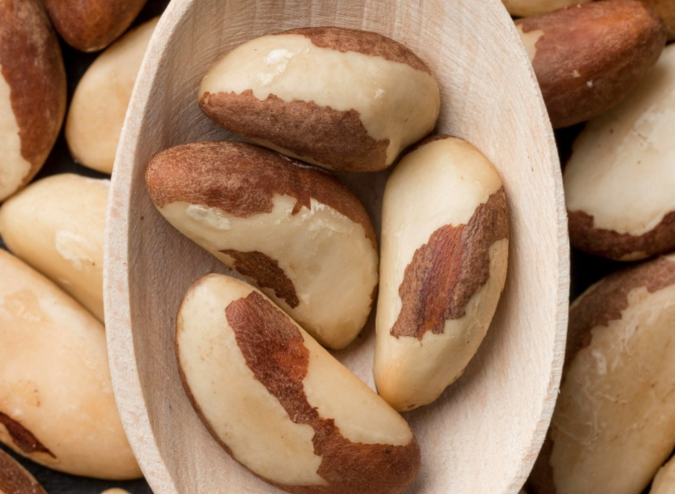 Dieta amazônica: como a alimentação regional influencia a amamentação