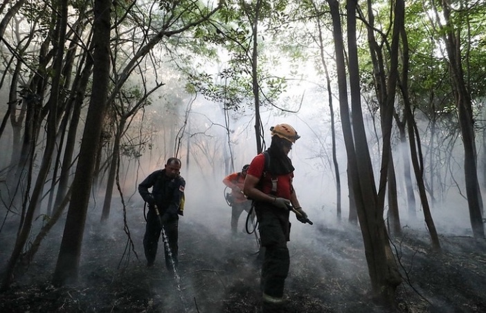 Nove cidades do Amazonas vão receber apoio federal contra desmatamento