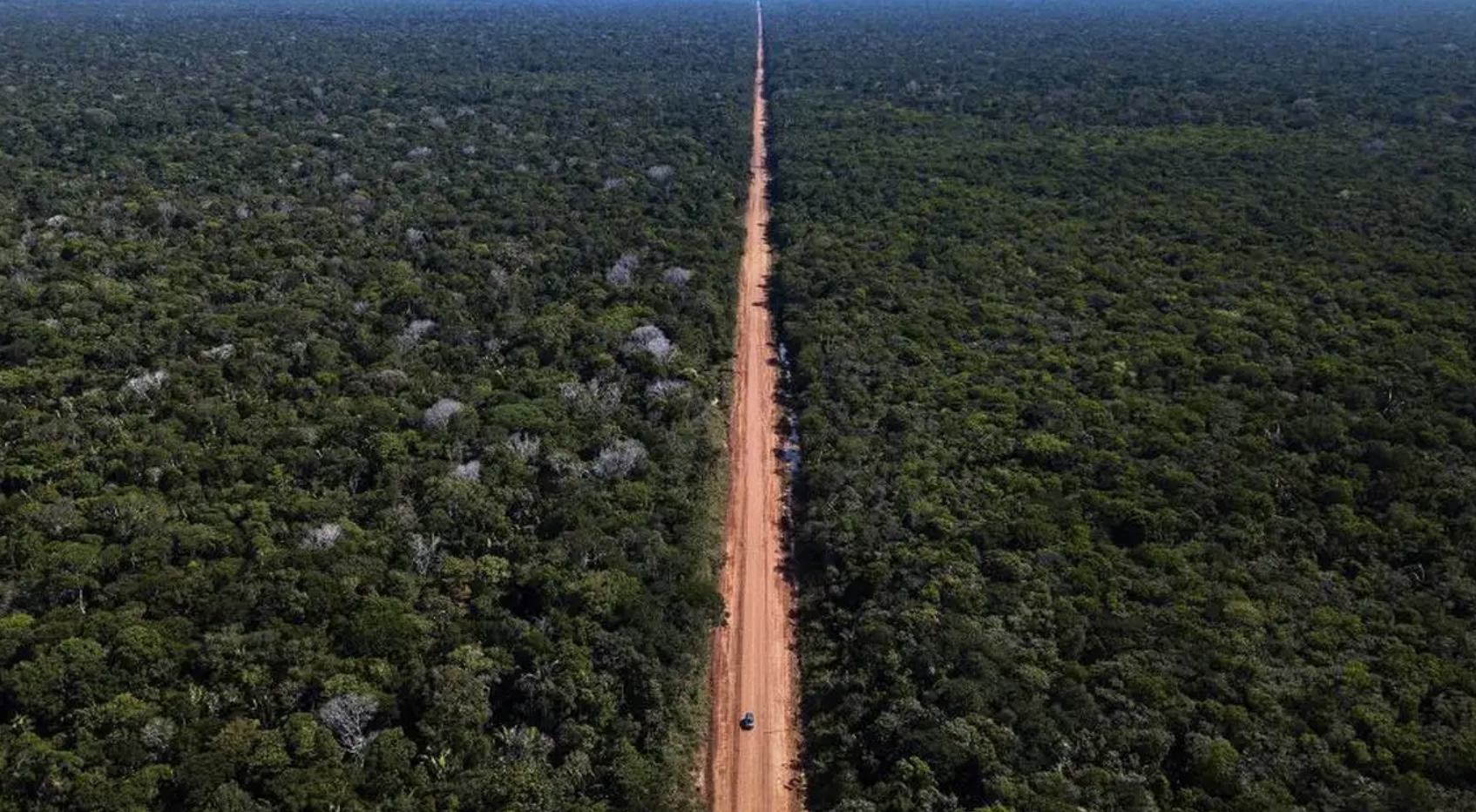 Fiocruz identifica vírus Oropouche em moradores ao longo da BR-319