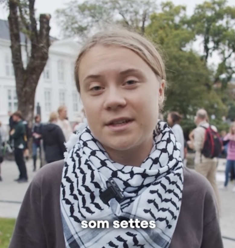 Israel deporta Greta Thunberg e outros 170 ativistas que seguiam para Gaza