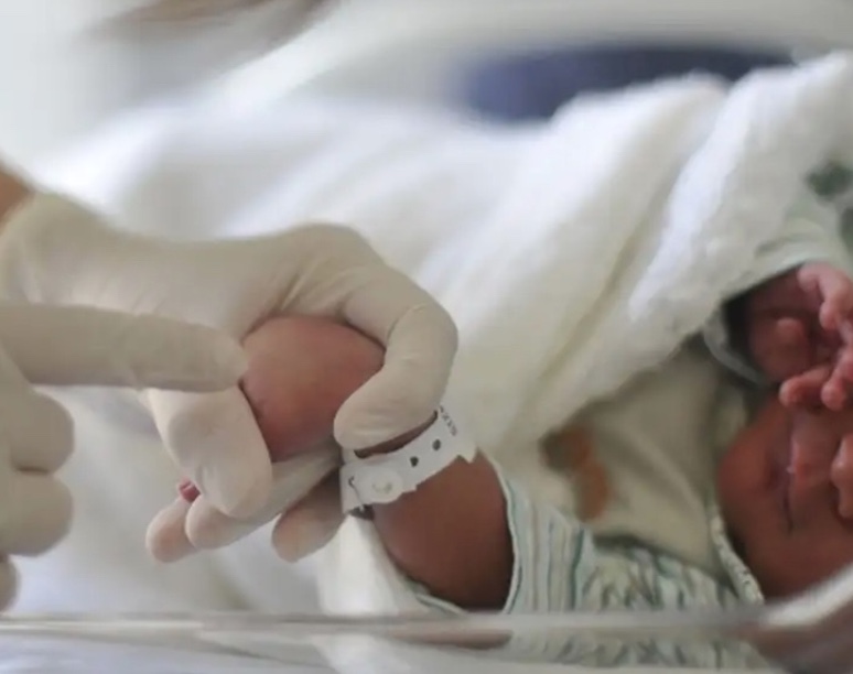 Governo Lula e relator chegam a acordo para aumento gradual da licença-paternidade