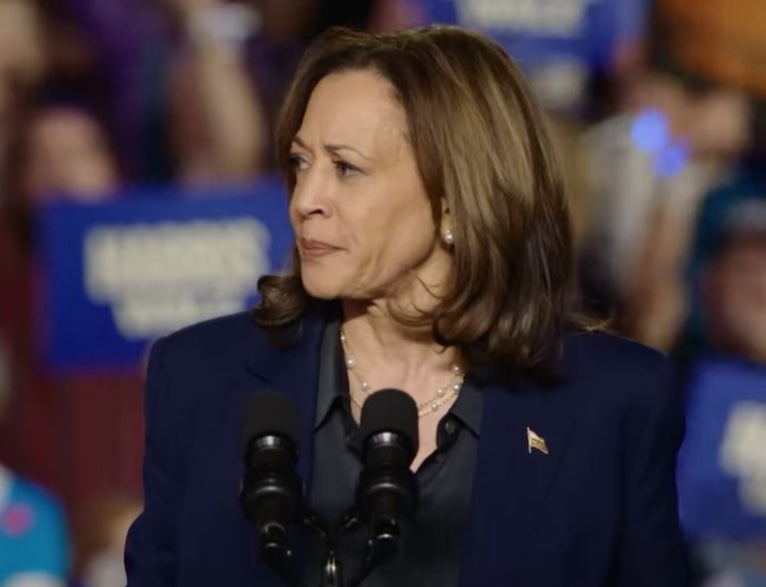 Kamala Harris diz que pode disputar novamente a presidência dos EUA