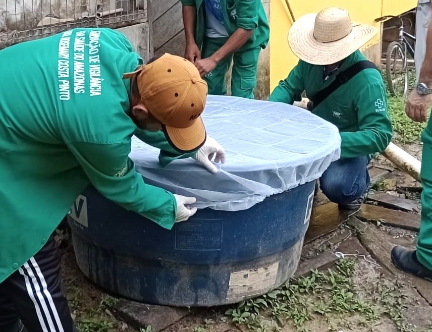Chuvas elevam risco de arboviroses no Amazonas; veja como prevenir