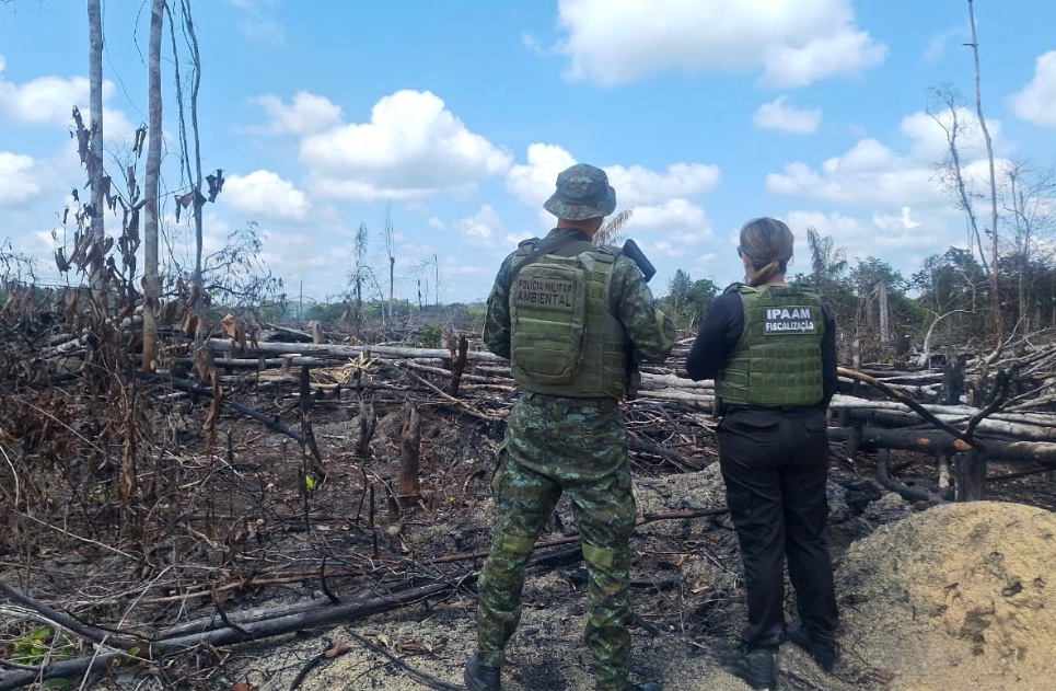 Ipaam aplica mais de R$ 90 mil em multas por crimes ambientais no Amazonas