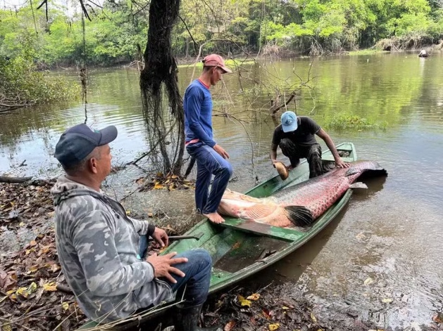 Ministério da Pesca cancela quase mil licenças de pescadores no Amazonas