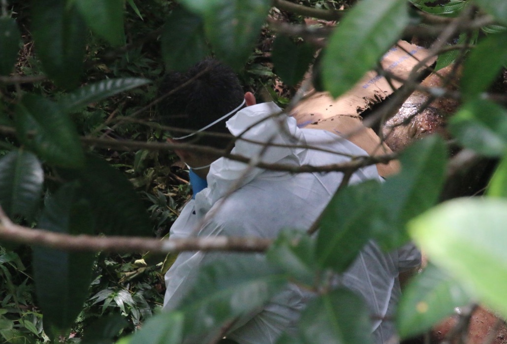 Mulher é encontrada morta e sem roupas em área de mata na Ponta Negra