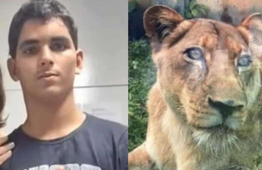 Mordida no pescoço causou morte de jovem atacado por leoa, diz IML
