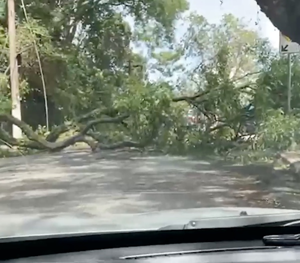 Mais de 300 voos são cancelados em SP após vendaval histórico