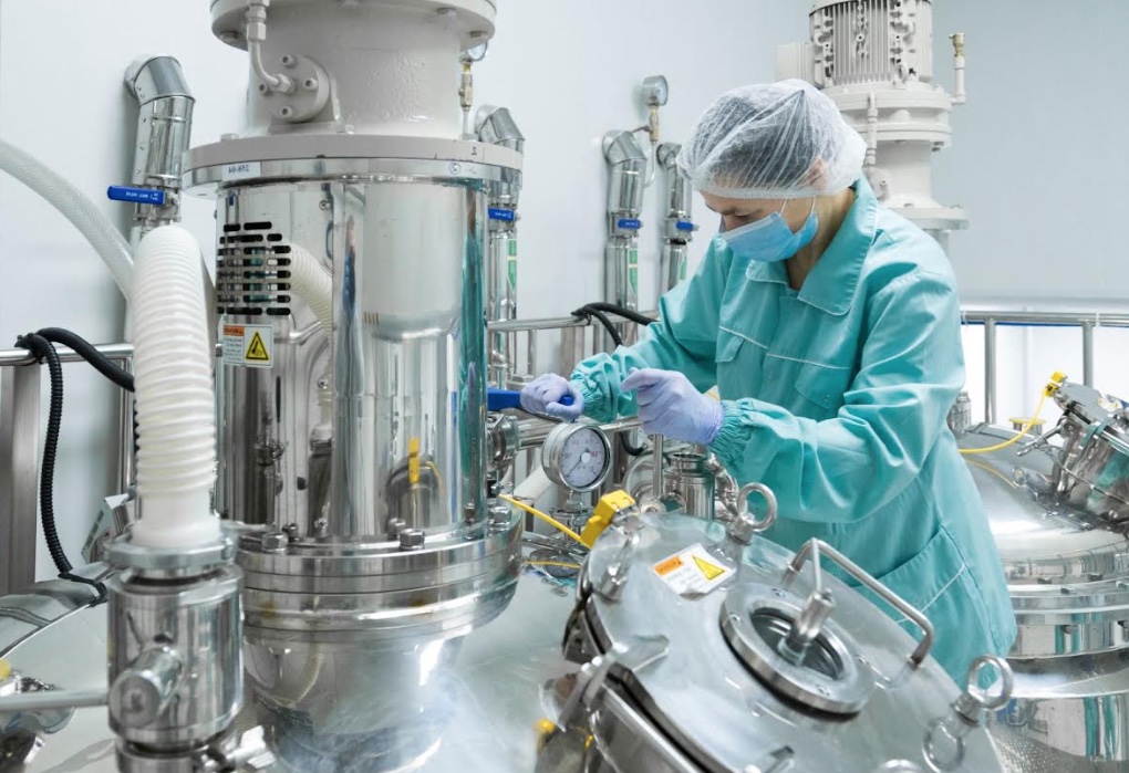 IEL abre 60 vagas para estágio