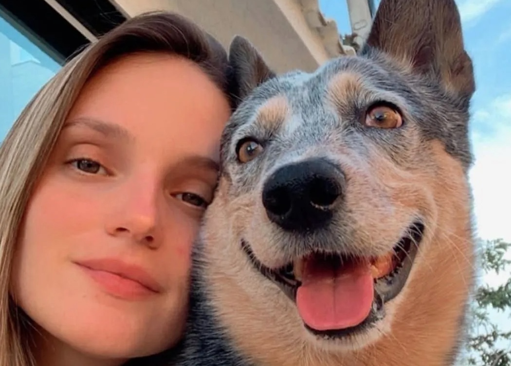 Cachorro sobrevive a acidente e fica ao lado de tutora que morreu no ES