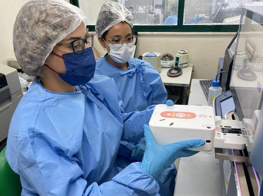 Surto de Oropouche foi causado pelo inseto maruim na Amazônica Ocidental