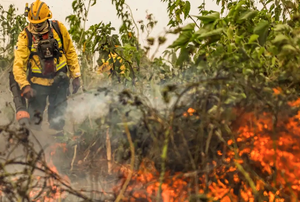 Queimadas caem ao menor nível em 23 anos no Amazonas, diz Inpe