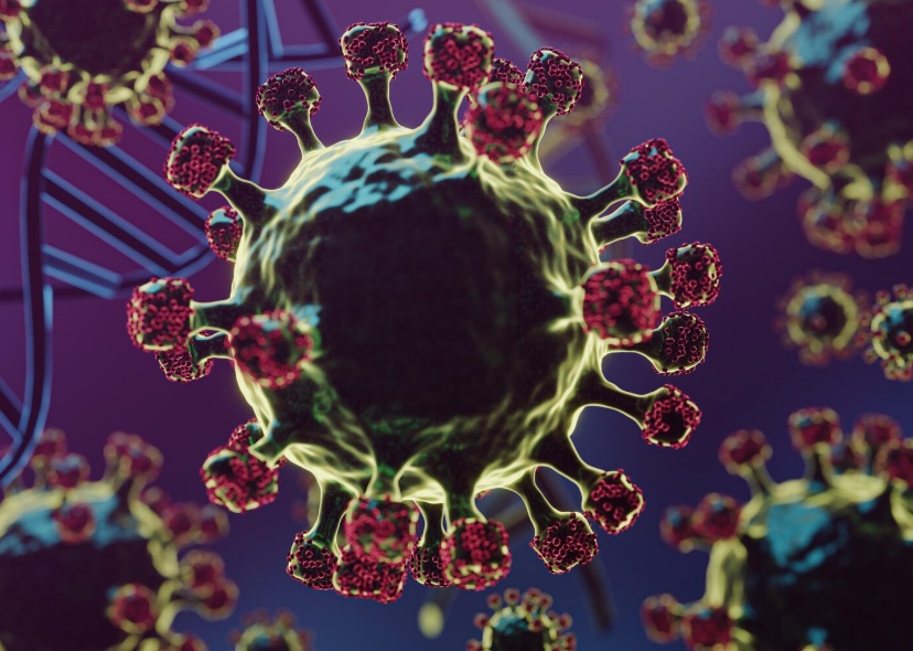 Sem vacina e com alto risco: entenda o vírus Nipah que preocupa autoridades