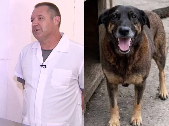 Laudo reforça crueldade e derruba versão de fatalidade na morte do cão 'Ore