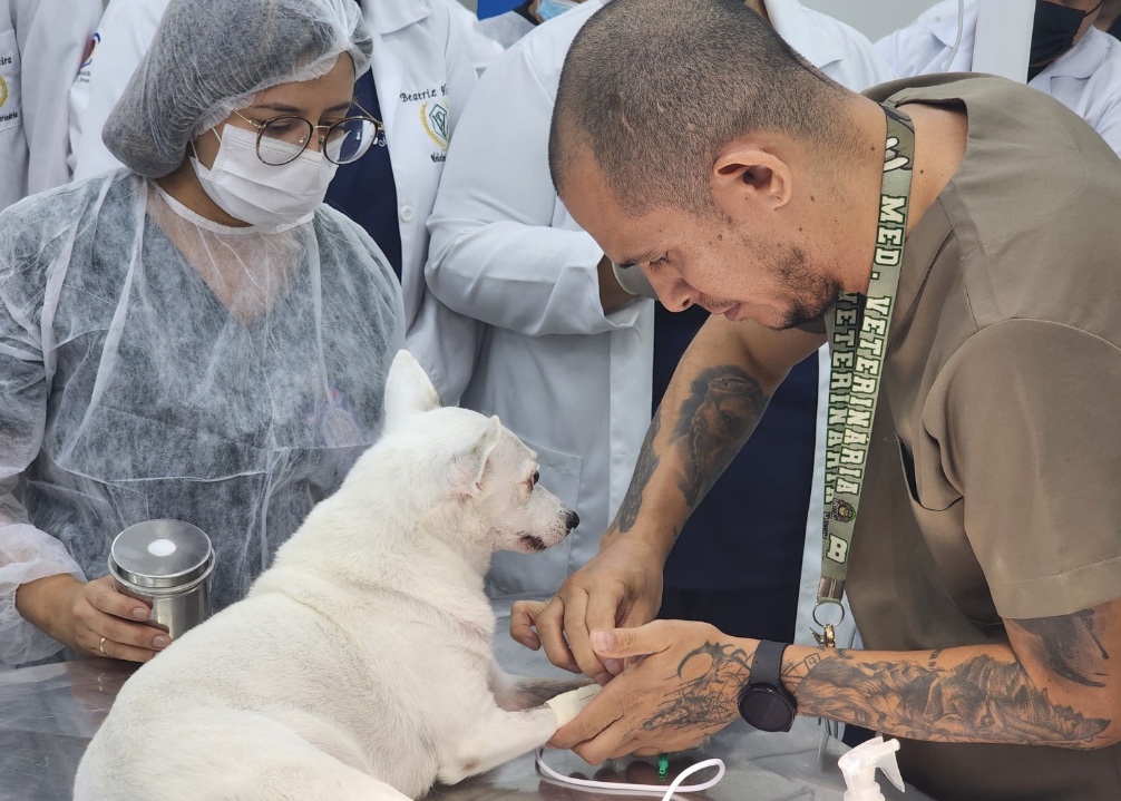 Check-up pode salvar a vida do seu pet; especialistas reforçam alerta