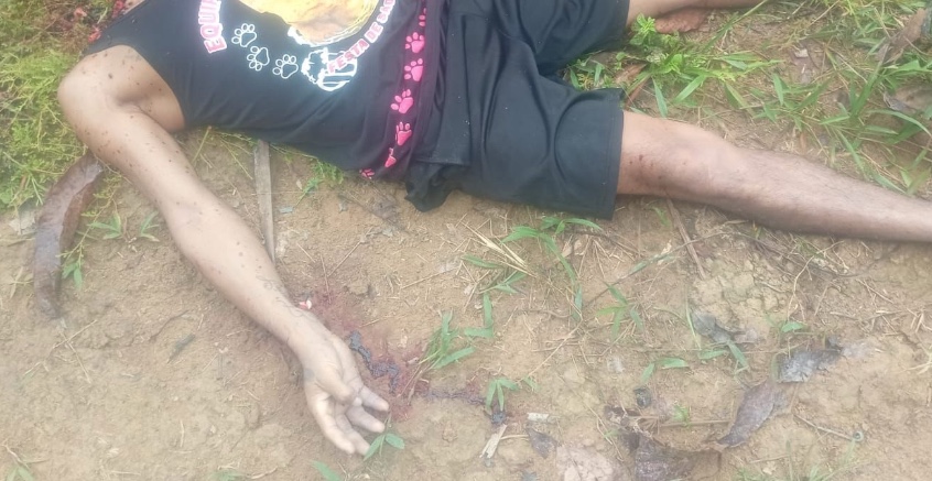 Homem é encontrado decapitado em área de mata de Boa Vista do Ramos