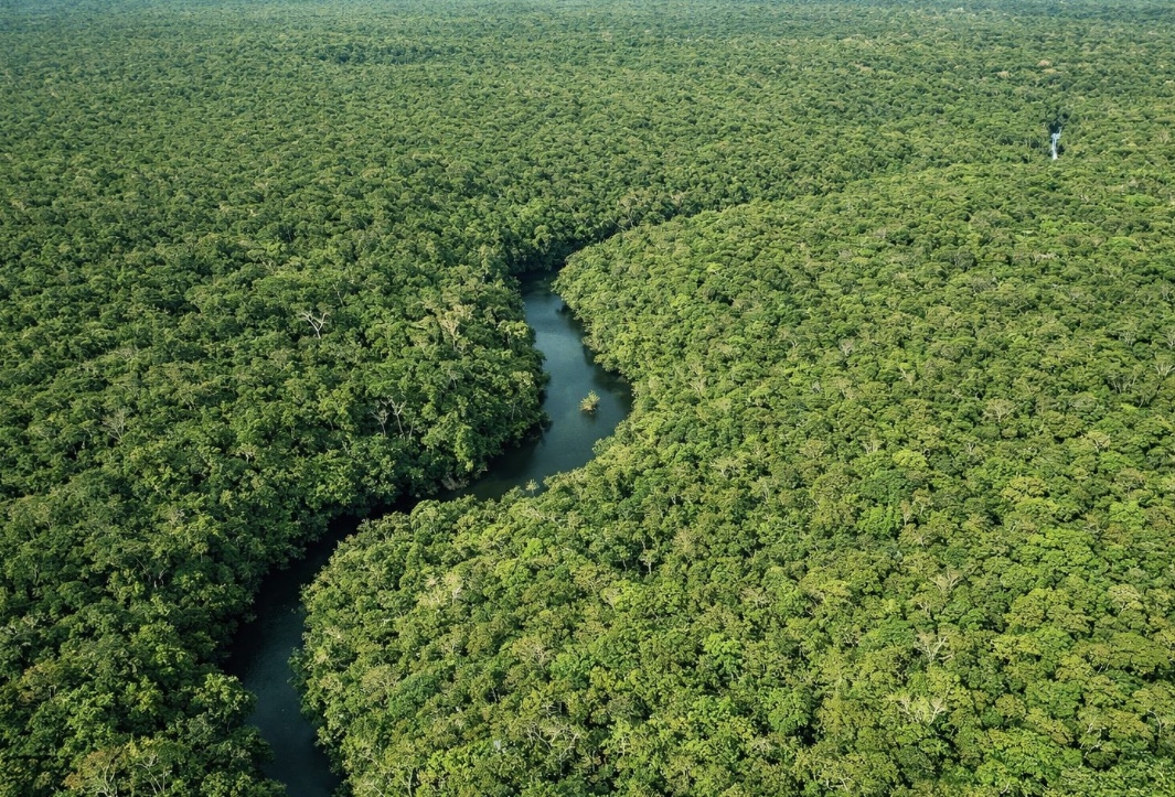 Desmatamento despenca no Amazonas e atinge menor nível em anos