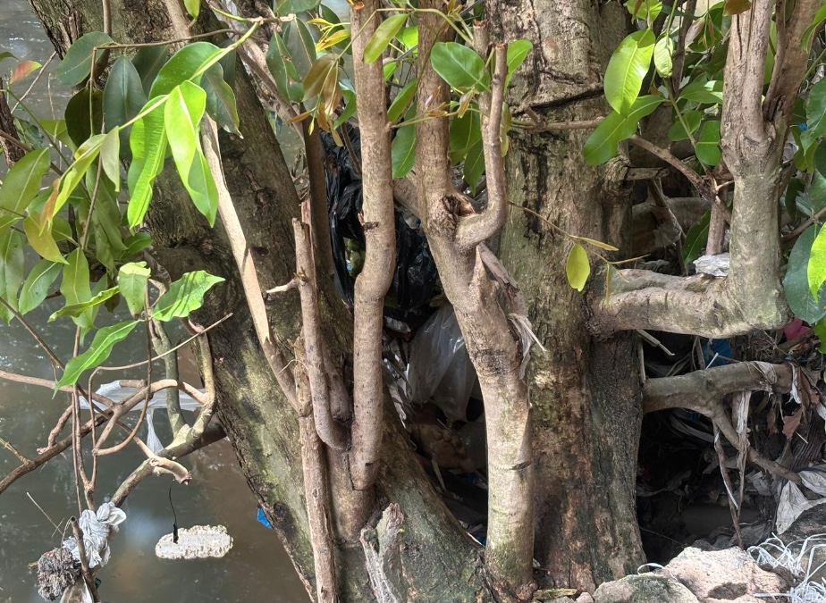 Segunda perna humana é encontrada no Novo Aleixo após ocorrência no Centro