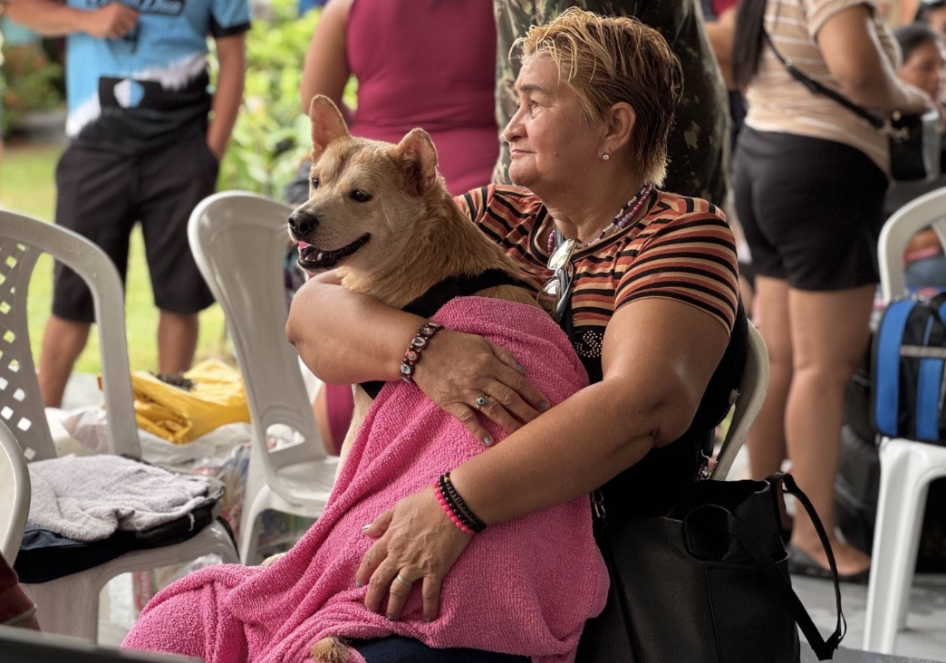 Castramóvel oferece 150 vagas para cães e gatos na zona sul de Manaus