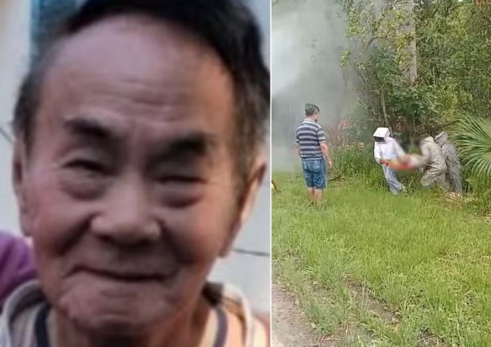 Idoso morre após ser atacado por enxame de abelhas no interior de São Paulo
