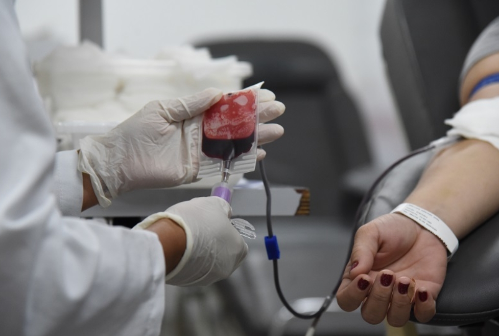 SES e Hemoam alinham estratégias para captar doadores de sangue no Amazonas