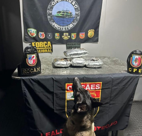 Homem é preso com 8 kg de maconha skunk em barco que vinha de Tefé