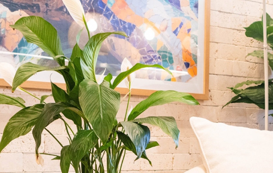 Saiba como a lua pode ser vista mesmo durante o dia - Curiosidades ...