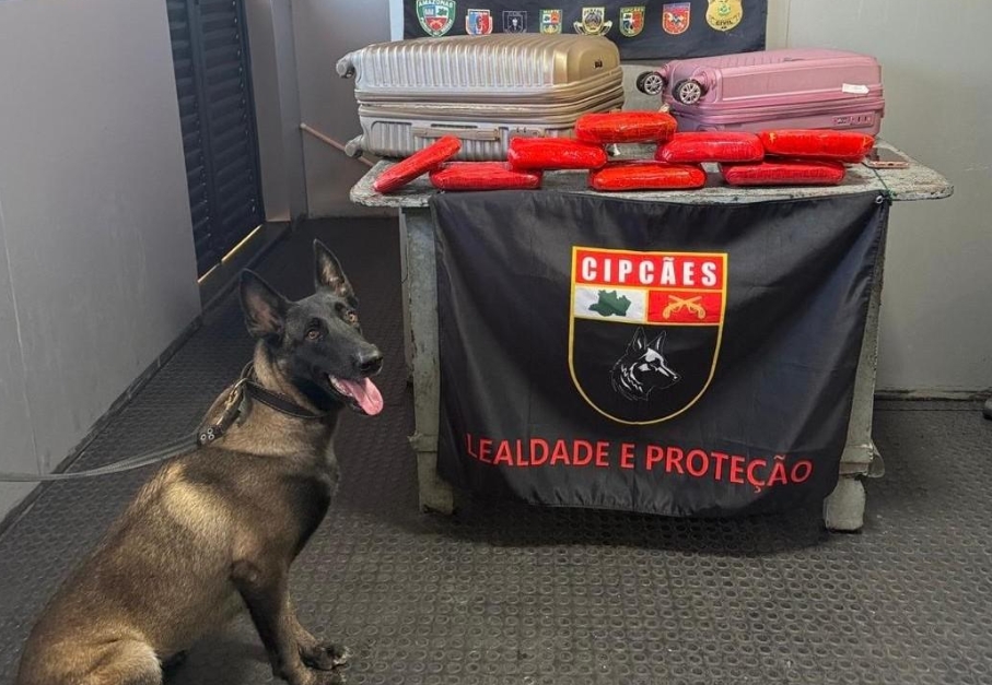 Cadela policial foi quem achou 9 quilos de cocaína em embarcação em Coari